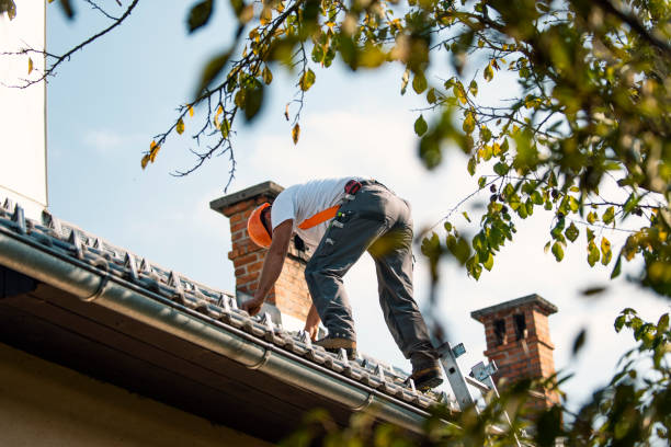 Quick and Trustworthy Emergency Roof Repair Services in Conestee, SC